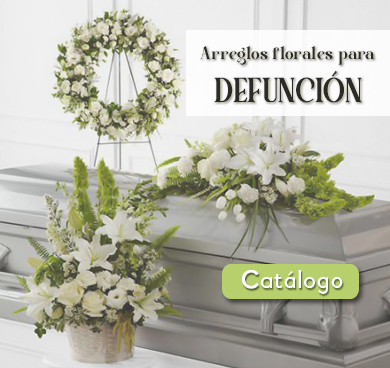 banner-defuncion-floreria-san-isidro
